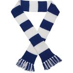 Striped Sports Scarf Knitted