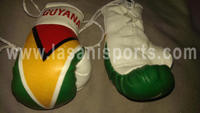 Guyana Flag Mini Boxing gloves