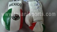 Mexico White Flag Mini Boxing