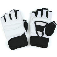 Taekwondo Gloves Hand Pads