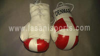 Denmark Flag Mini Boxing gloves