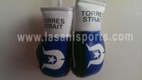 Torres Strait Flag Mini Boxing gloves