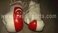  Singapore Flag Mini Boxing gloves