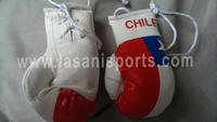 Chile Flag Mini Boxing gloves