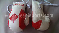 Canada Flag Mini Boxing gloves