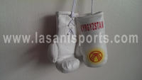 Kyrgyzstan Flag Mini Boxing gloves