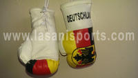 Deutschland Flag Mini Boxing gloves