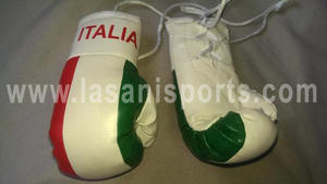 Italy Flag Mini Boxing gloves