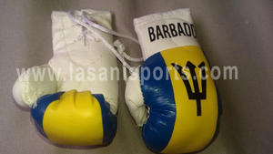 Barbados Flag Mini Boxing gloves