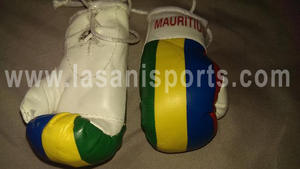 Mauritius Flag Mini Boxing gloves 