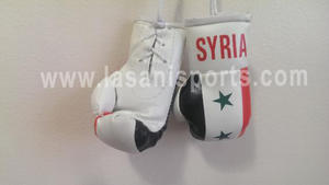Syria Flag Mini Boxing gloves