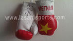 Vietnam Flag Mini Boxing gloves