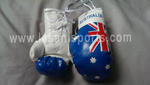 Australia Flag Mini Boxing gloves
