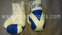 Scot Land Flag Mini Boxing gloves
