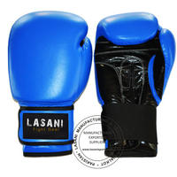 Pro Leather Boxing Gloves - Blue