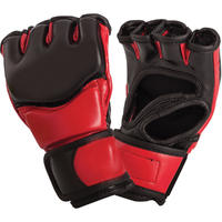 MMA Training Work Out Gloves