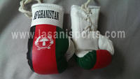 Afghanistan Flag Mini Boxing gloves 