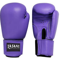 Purple Leather Boxing Gloves -103 