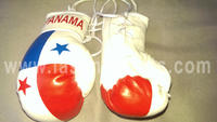 Panama Flag Mini Boxing gloves