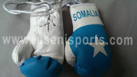 Somalia Flag Mini Boxing gloves