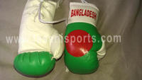 Bangladesh Flag Mini Boxing gloves