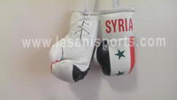 Syria Flag Mini Boxing gloves