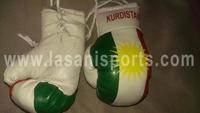 Kurdistan Flag Mini Boxing gloves