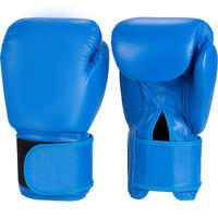 Boxing Gloves - Blue Letaher 
