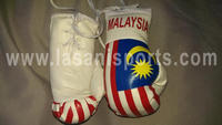 Malaysia Flag Mini Boxing gloves